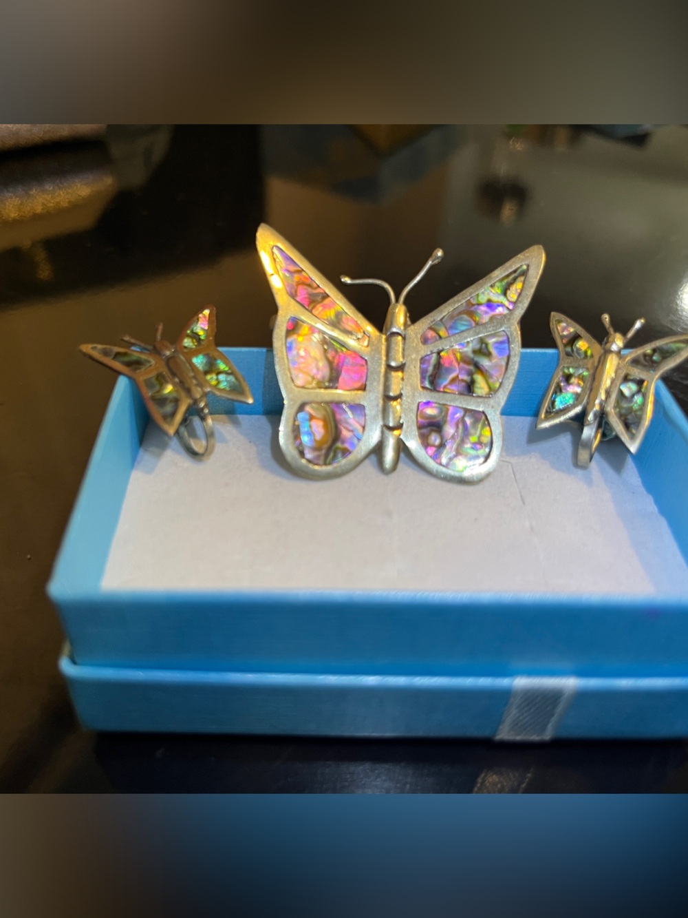 Butterfly Accent Jewelry Holder in Turquoise with Iridescent Details